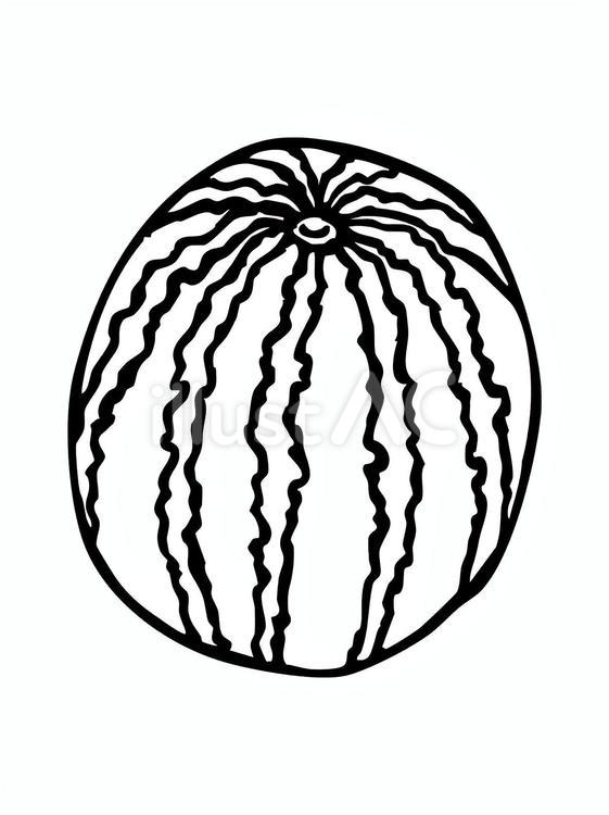 斜め上から見た丸スイカのぬりえ スイカ,果物,丸のイラスト素材