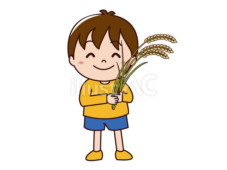 稲を持つ男の子 稲,男の子,子どものイラスト素材