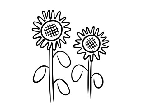 手描き風ひまわりのモノクロ線画イラスト ひまわり,向日葵,夏,花,塗り絵,線画,教材,子ども向け,練習用,ワークシートのイラスト素材