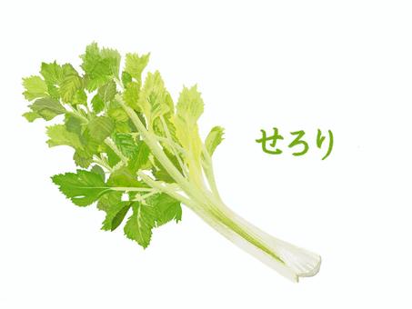 Celery (with letters), apéritif, légumes, persil, JPG and PNG