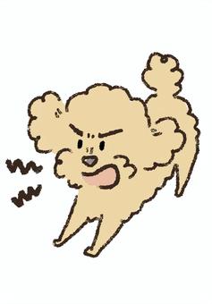 吠える犬イラスト プードル,犬,吠える,怒る,こわい,危険のイラスト素材