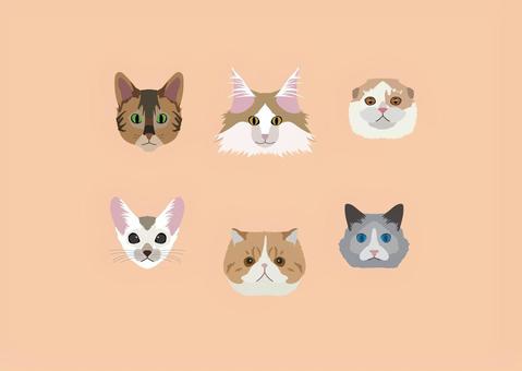 ニャンコ 猫,シンガプーラ,スコティッシュフォールド,ベンガル,ラグドールのイラスト素材