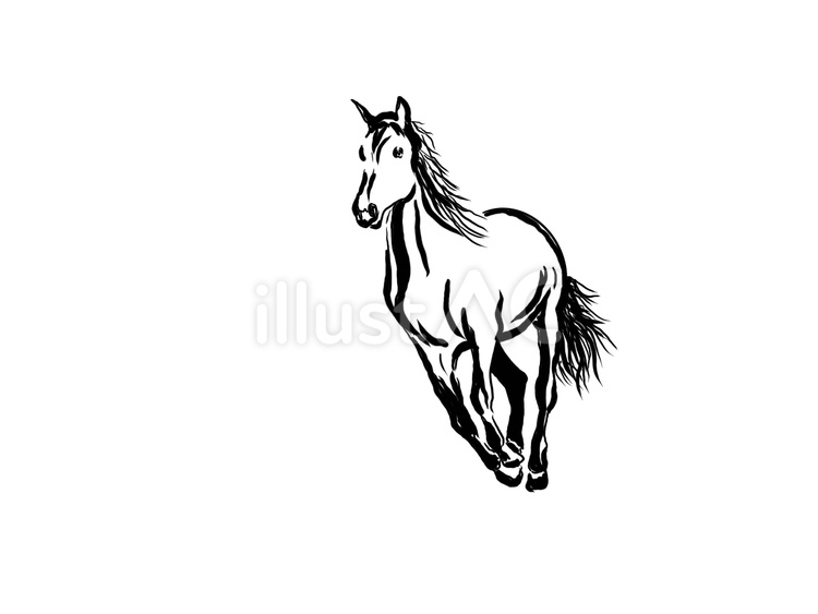 馬　動物 馬,ウマ,horseのイラスト素材