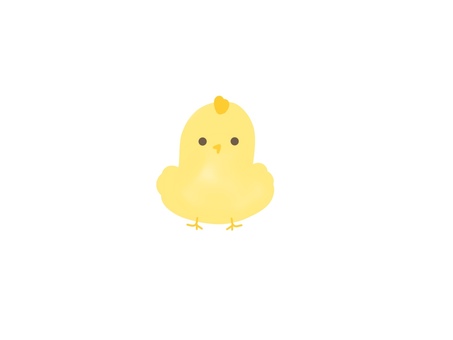 生き物☆ひよこ
