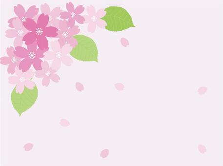 桜のカード, cerezo, pétalo, la flor de cerezo de visión, JPG, PNG and AI