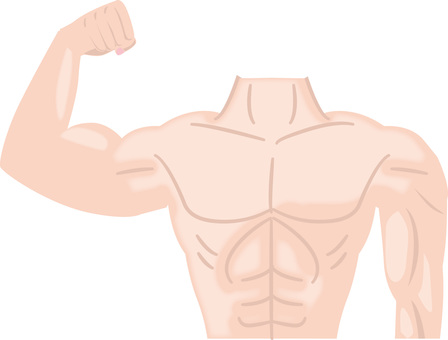 力こぶ　 力こぶ,片手,筋肉,ボディ,マッチョ,肉体,腕,ポーズ,健康,男性のイラスト素材