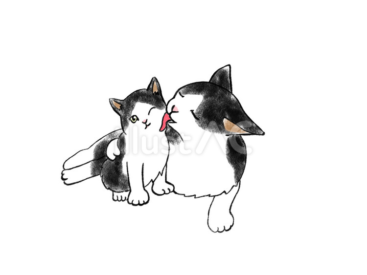 ふんばり親子猫　ハチワレ 日光ハチワレ☀️親子猫ミューズ詩音つくし on X: 