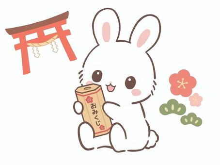 おみくじを引く、白うさぎ　鳥居　梅　松 うさぎ,兎,鳥居,梅,松,年賀,1月,冬,おみくじ,運勢のイラスト素材