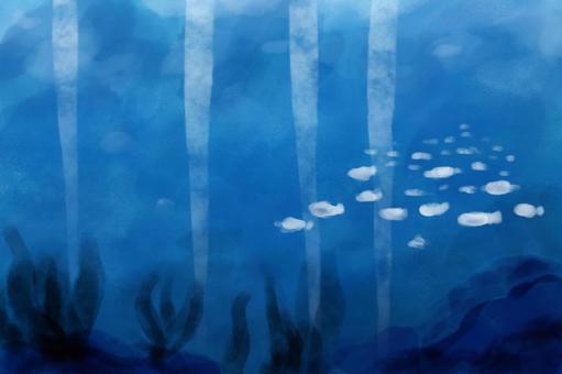 in the water, JPG in the water, water, light, fish, JPG