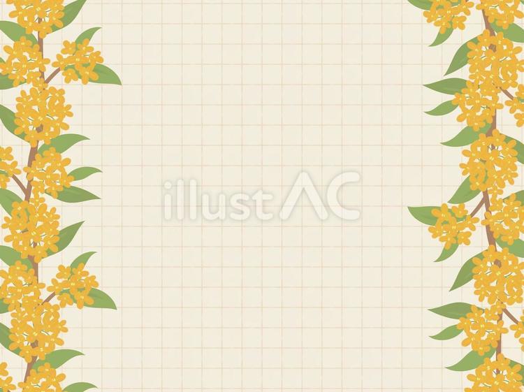 金木犀　フレーム背景2 金木犀,花,植物のイラスト素材
