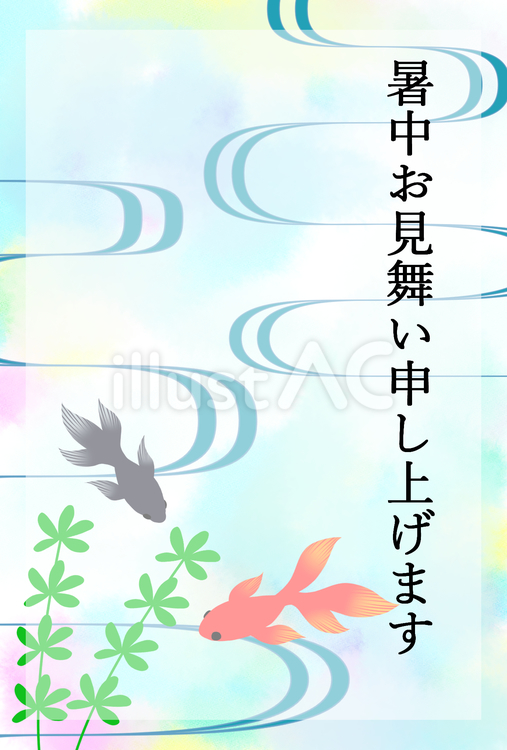 暑中見舞い　はがき　金魚　水面 暑中見舞い,金魚,はがきのイラスト素材