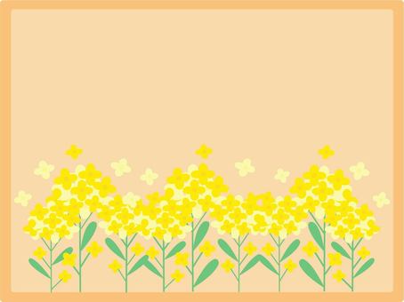 rape blossom frame, , JPG, PNG and AI