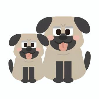 パグの親子 パグの親子 パグ,犬,犬種,親子,ペット,ペットショップ,可愛い,かわいい,キュート,ベクターのイラスト素材