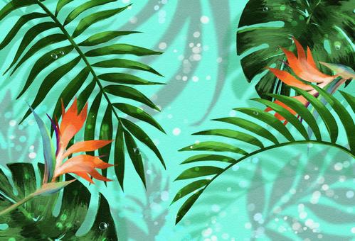 Illustration, botanical, summer, green, JPG