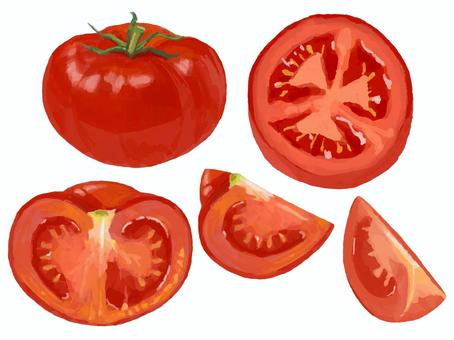 リアルすぎないトマトセット 食べ物,野菜,トマト,カット,断面,半分,2分の１,４分の１,緑黄色野菜,輪切りのイラスト素材