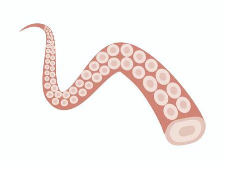 タコ足 タコ,足,腕,食べ物,刺身,一本,たこ足のイラスト素材