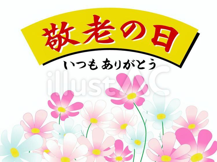敬老の日のイラスト 敬老の日,秋桜,９月のイラスト素材