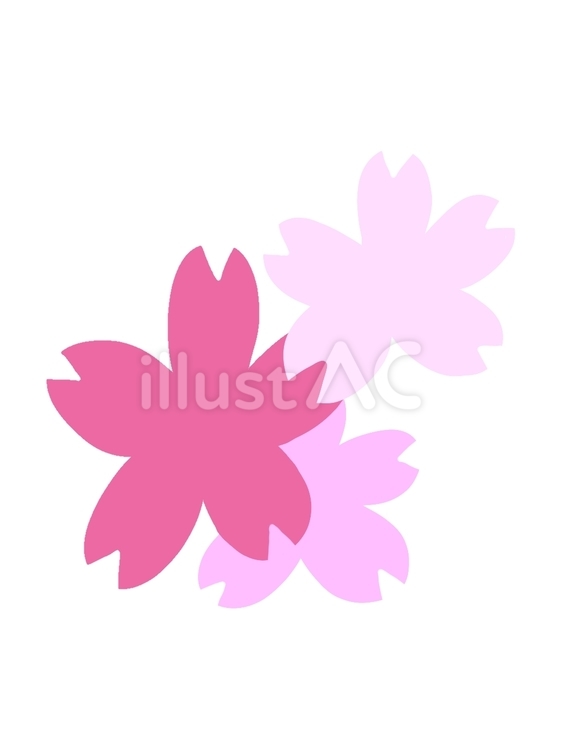 桜 桜,花,春のイラスト素材