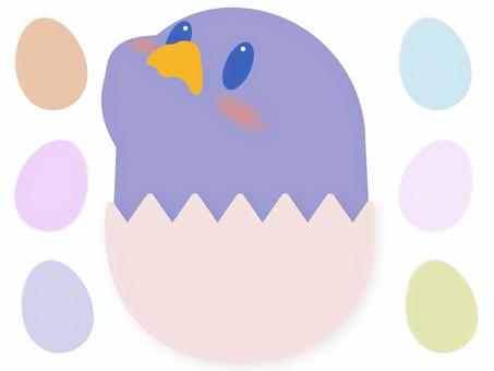 青ひよこのたまご素材 ひよこ,青,卵,たまご,殻,キャラクター,かわいい,動物,鳥,赤ちゃんのイラスト素材