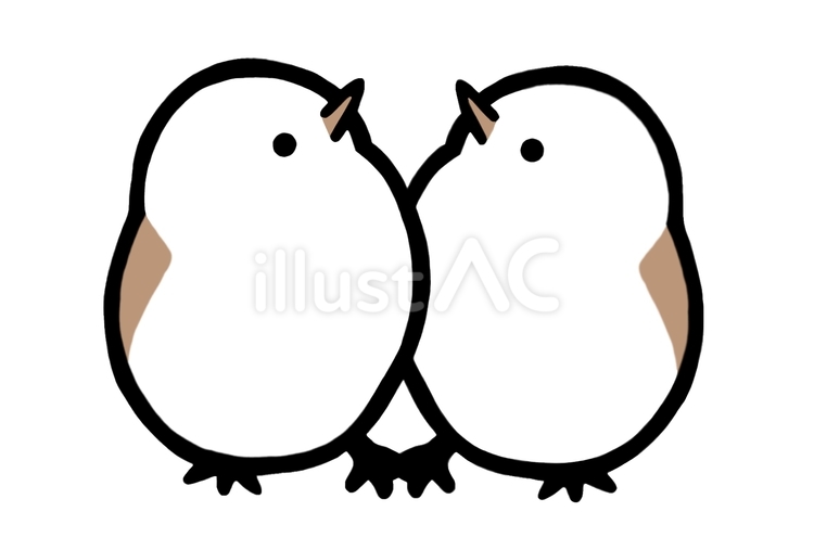 ポーズをきめるシマエナガ　2羽 シマエナガ,鳥,白のイラスト素材