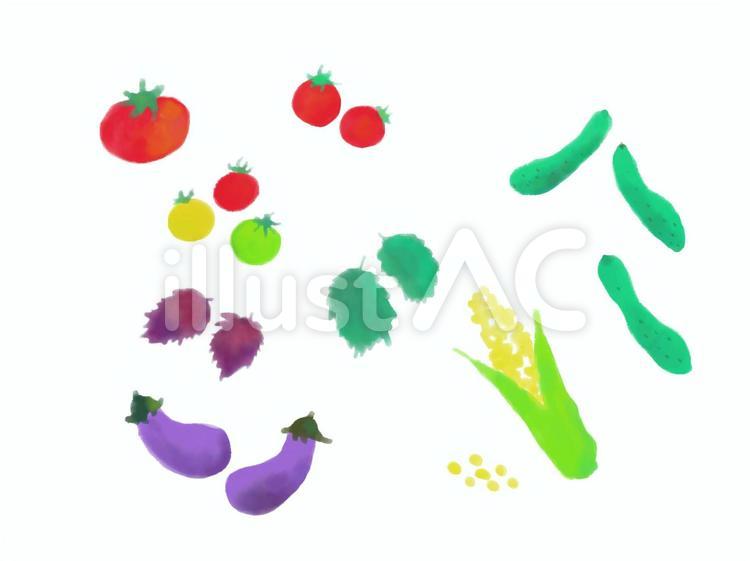 野菜　トマト　なす　きゅうり 野菜,トマト,なすのイラスト素材