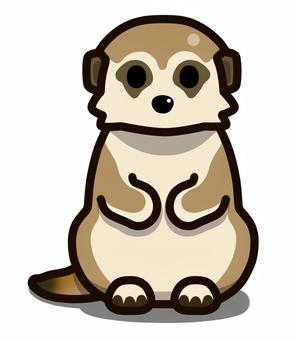 Meerkat facing forward, , JPG and PNG