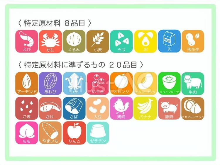 特定原材料と準ずるもの28品目（カラー） アレルギー,特定原材料,給食のイラスト素材
