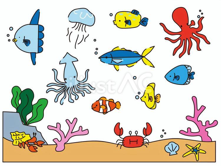海の魚のかわいいイラストセット ワカメ,箱フグ,水族館のイラスト素材