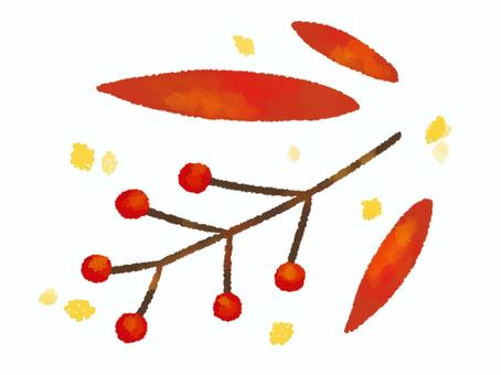 【水彩風手描き】秋の木の実と葉 【水彩風手描き】秋の木の実と葉 秋,木の実,赤,葉,紅葉,あしらい,水彩風,手描きのイラスト素材