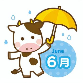 6月　傘を持った牛 6月,牛,丑,丑年,梅雨,雨,傘,カレンダー,タイトル,見出しのイラスト素材