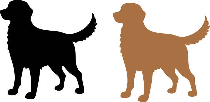 ゴールデンレトリーバーのシルエット2 ゴールデンレトリーバーのシルエット2 犬,シルエット,ゴールデン,ゴールデンレトリーバー,茶色,黒,立ち姿のイラスト素材