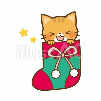 クリスマスソックスに入った猫