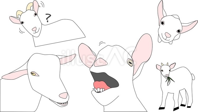 ヤギ① ヤギ,イラスト,ツノのイラスト素材