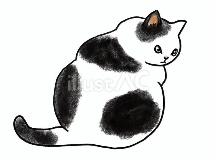 振り返る　ぽっちゃり　猫　ぶち 猫,ぽっちゃり,メタボのイラスト素材