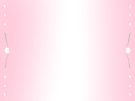 cherry blossoms, JPG cherry blossoms, white, cherry blossoms, branch, JPG