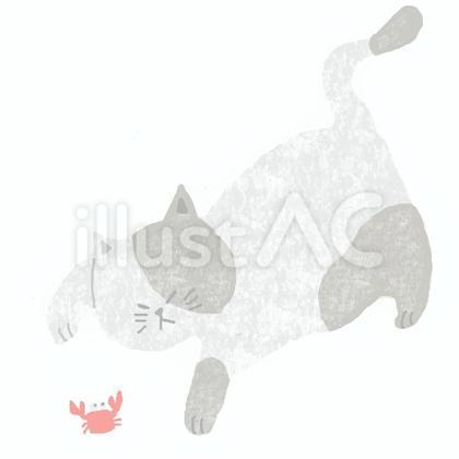 カニと戦うねこちゃん♪