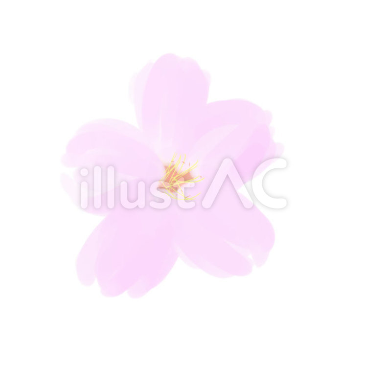 桜 桜,さくら,春のイラスト素材