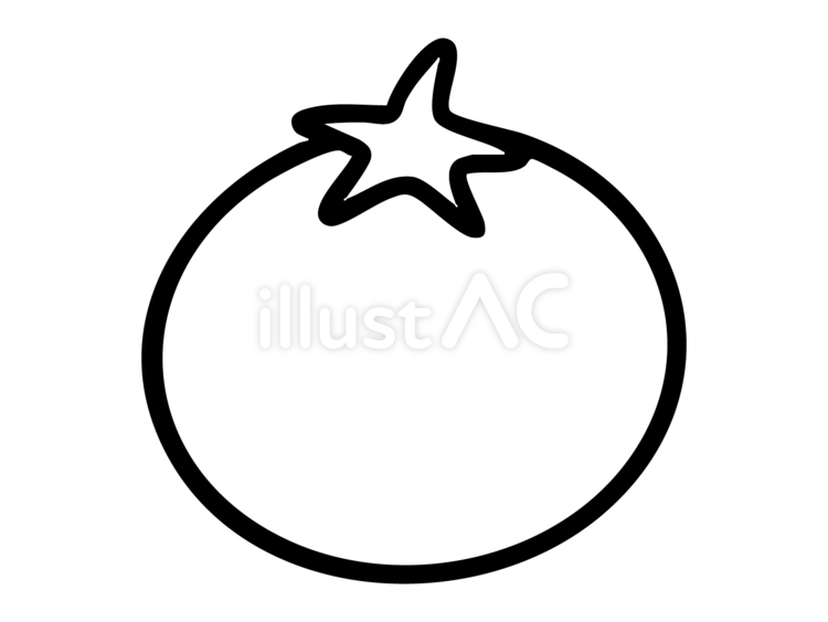 線画のトマト 線画,トマト,野菜のイラスト素材