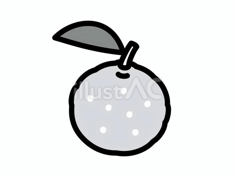 ユズ　白黒 ゆず,白黒,果物のイラスト素材