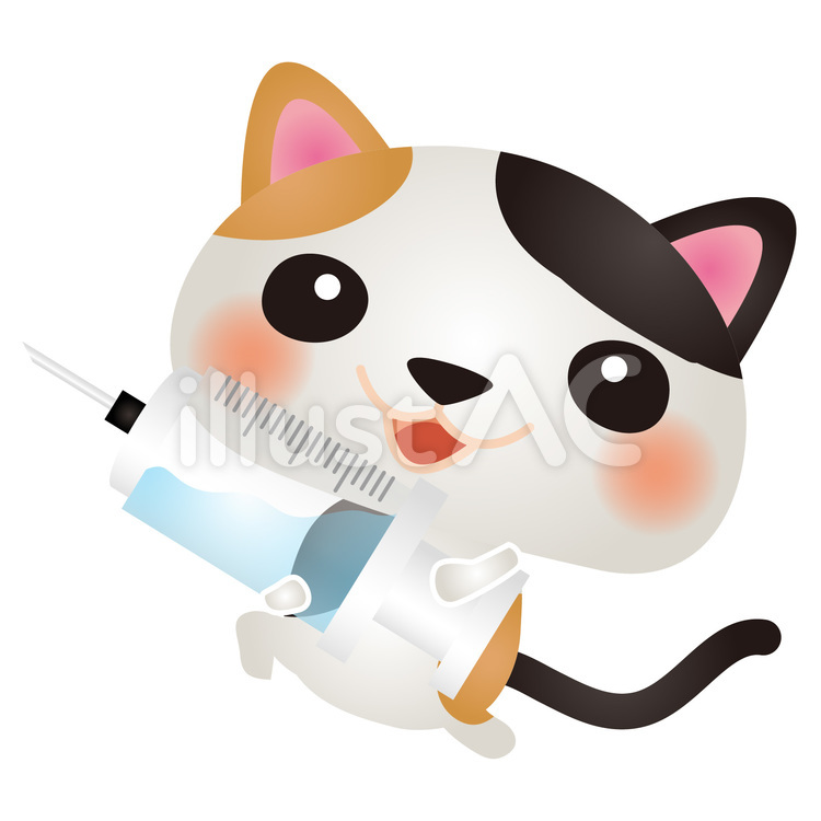みけ注射 ねこ,注射,予防接種のイラスト素材