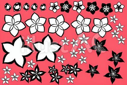切り絵風桃の花のバラバラ 黒
