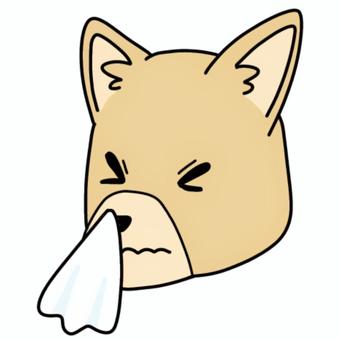 鼻をかむ犬2 鼻をかむ犬2 風邪,冬,防寒,予防,対策,乾燥,ウイルス,流行,学級閉鎖,病院のイラスト素材