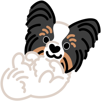 ハート鼻のパピヨン（ごろん）5 パピヨン,犬,動物,ハート,鼻,ゴロン,寝転がる,仰向け,シンプル,かわいいのイラスト素材