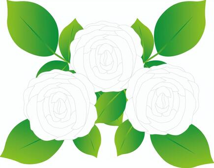 Illustration, rose, rose, flower, JPG and AI