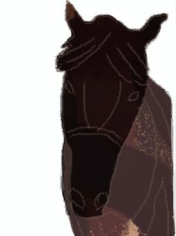 ざらざら絵-鞍をつけた競技馬の顔 ざらざら絵-鞍をつけた競技馬の顔 馬,競走馬,競技馬,顔,頭,動物,茶色,鞍,手描きのイラスト素材