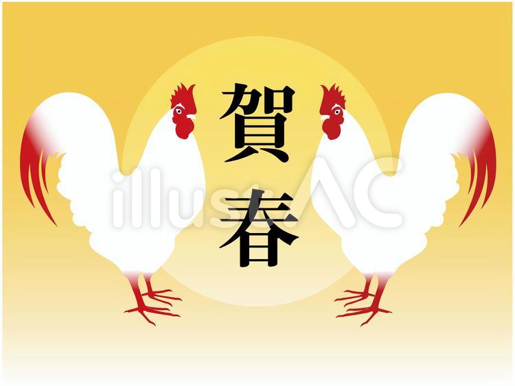 2017年賀状　3　文字入 年賀状,きれい,幻想的のイラスト素材
