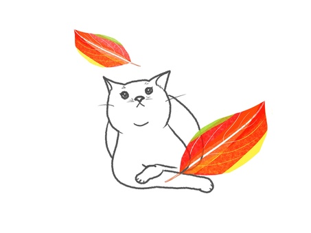 猫と落ち葉 ねこ,紅葉,見つめる,落ち葉,上向き,秋,リラックス,手書き,挿絵,動物のイラスト素材