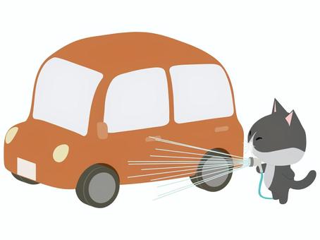 洗車_猫 洗車,猫,はちわれ,動物,かわいい,自動車のイラスト素材