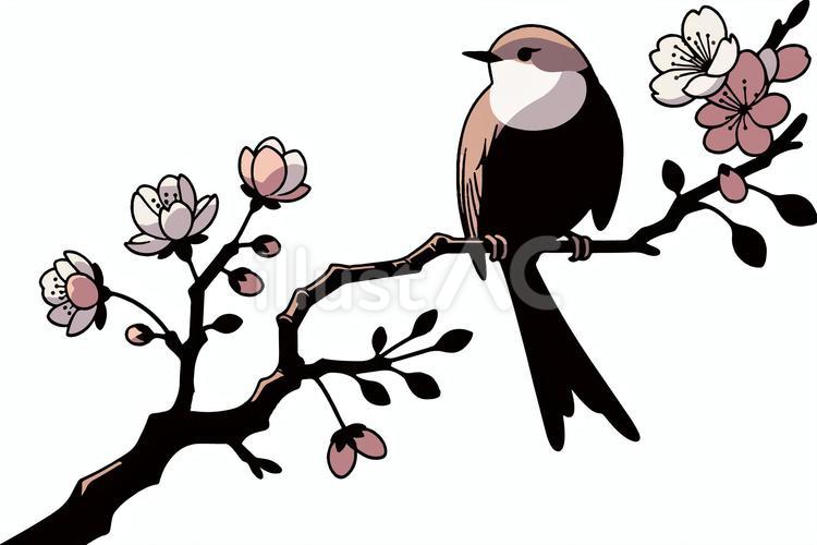桜と鳥 桜,春,鳥のイラスト素材