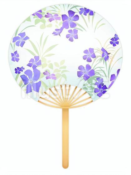ツルニチソウのうちわのイラスト